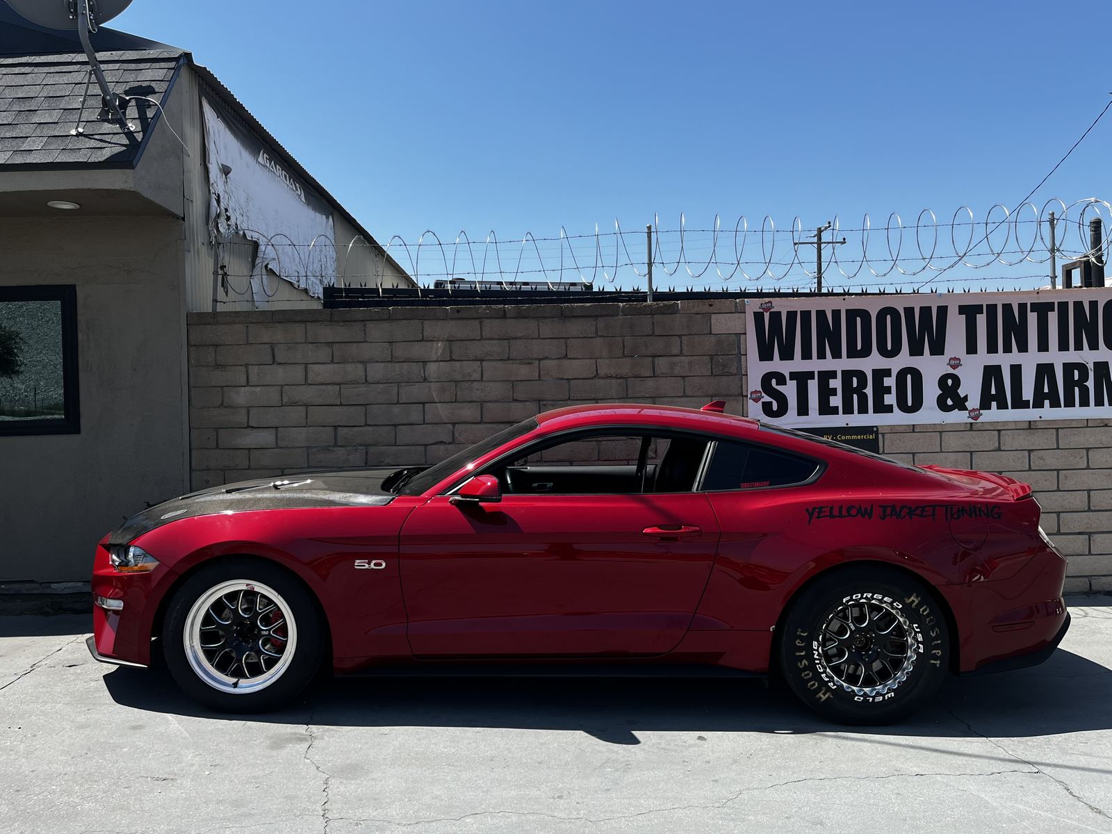 Mustang wheel fitment